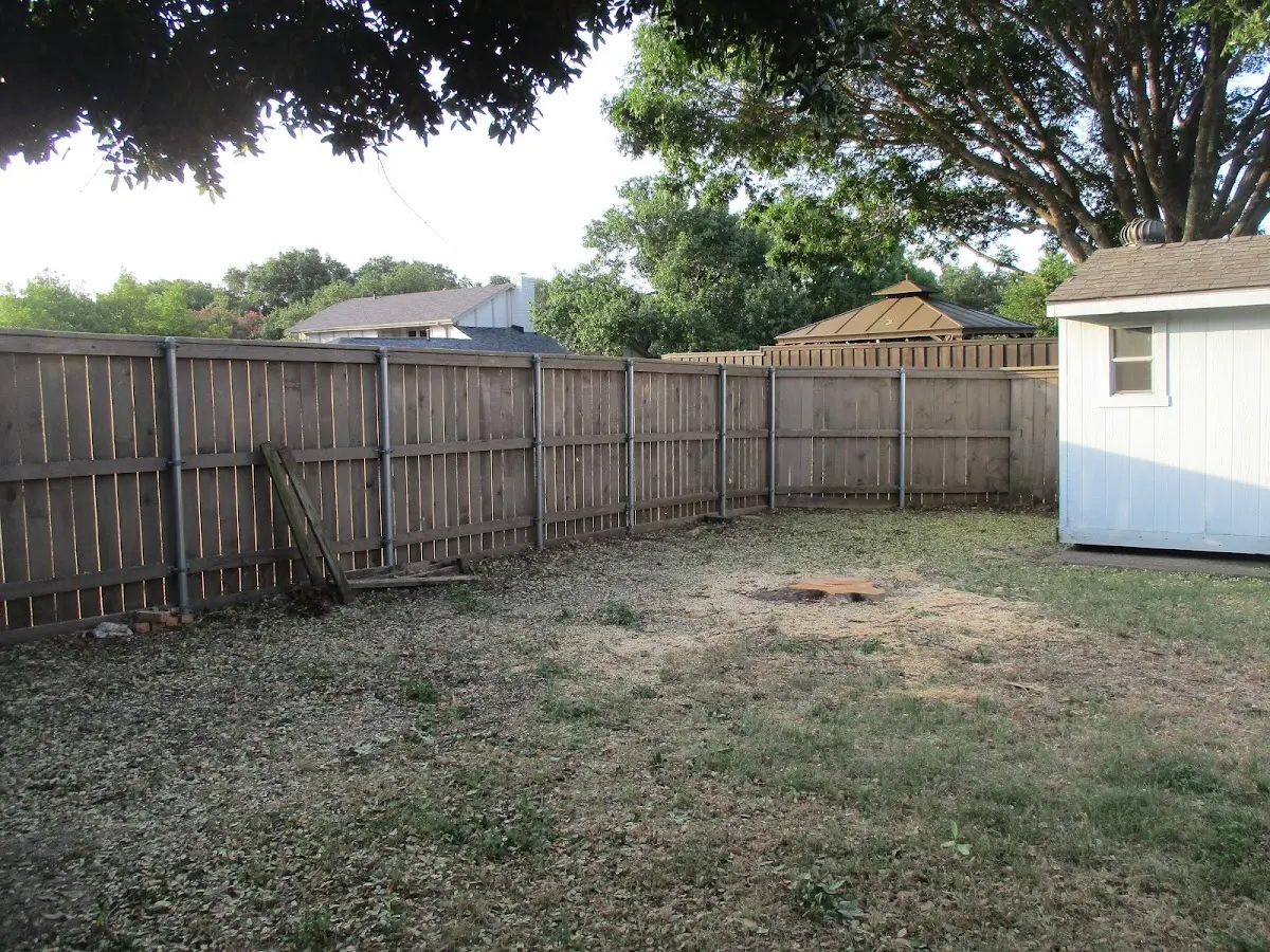 Cleared yard after professional tree removal in Mound City