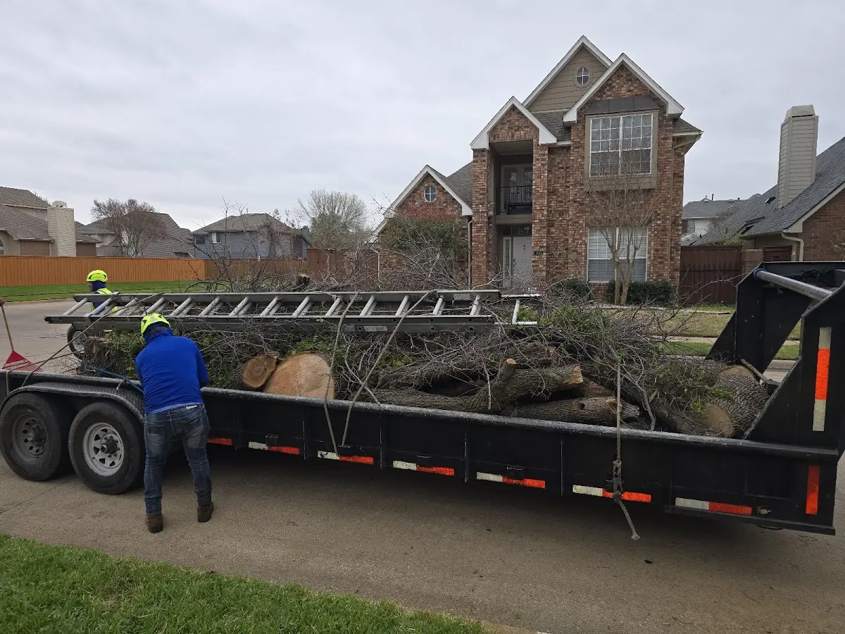 Expert Crown Reduction with proper safety equipment in Mound City
